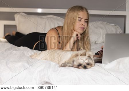 Beautiful Blonde With A Puppy Shih-tzu And Laptop On Bed With White Sheets. Pretty People And Pets O