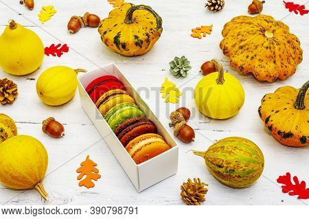 French Macarons In Autumn Colors