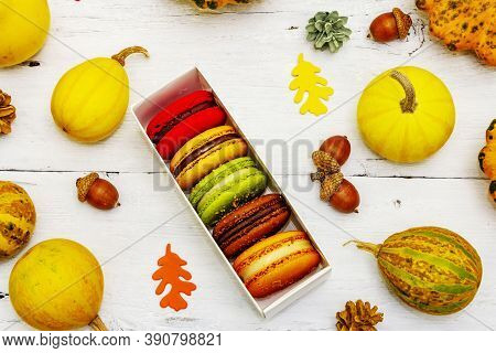 French Macarons In Autumn Colors