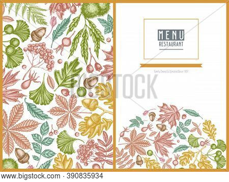 Menu Cover Design With Pastel Fern, Dog Rose, Rowan, Ginkgo, Maple, Oak, Horse Chestnut, Chestnut Ha