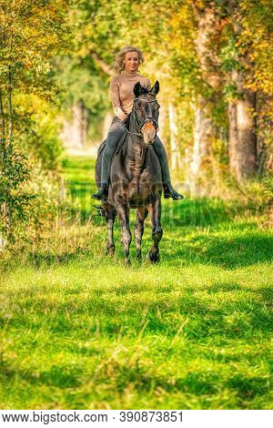 Beautiful Blonde Female Horse Rider On A Horse Without Sadle, In The Woods In The Setting Sun, Autum
