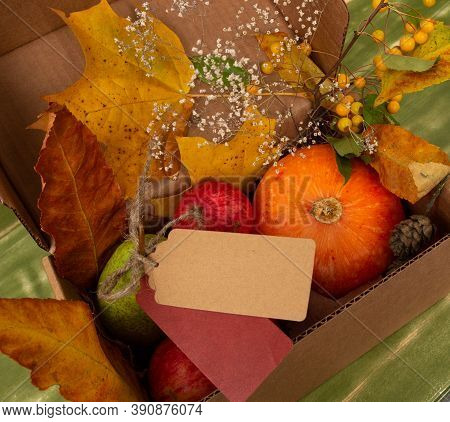 Blank Sale Label For Shop Promo. Autumn Fall Halloween Thanksgiving Season Special Post Delievery Bo