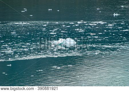 Sarmiento Channel, Chile - December 11, 2008: Amalia Glacier. Closeup Of Blueish Ice Pieces Floating