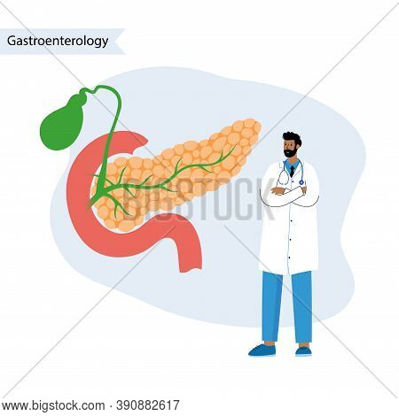 Pancreas, Duodenum And Gallbladder Anatomy. Gastroenterologist Help. Digestive System Concept. Gastr