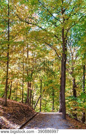 A Hiking Trail Through Fall Woods In Frick Park In Pittsburgh, Pennsylvania, Usa On A Sunny Fall Day