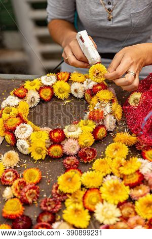 Making Wreath Autumn Colorful Strawflower Or Xeranthemum For Door Decoration