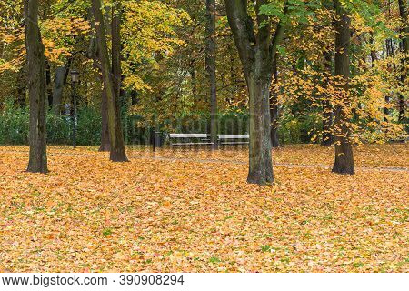 Colorful Autumn In Saxon Garden In Warsaw Downtown