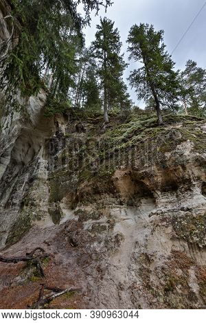 Details Of Old Rock Clifts Near Tourist Track. Photo Taken On A Cloudy Sprin Day In Latvia.