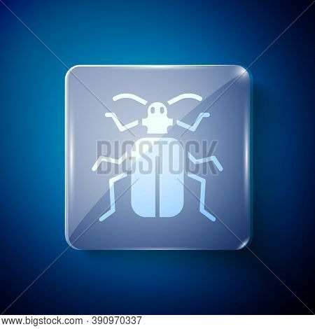 White Chafer Beetle Icon Isolated On Blue Background. Square Glass Panels. Vector