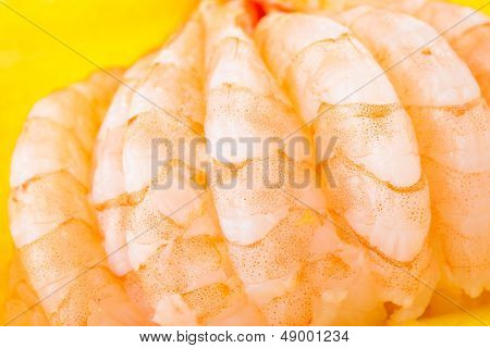 Sashimi-Garnelen