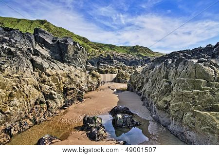 Barnacle encrusted rocks at Killantringan Bay