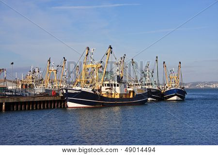 Fishing Trawlers