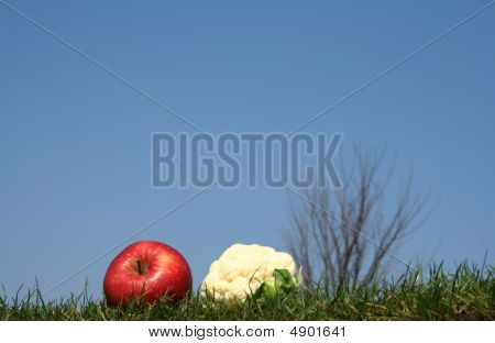 Apple und Mini Caulif Blume im Gras