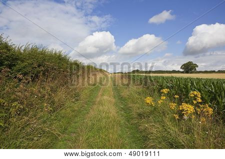 Country Bridleway