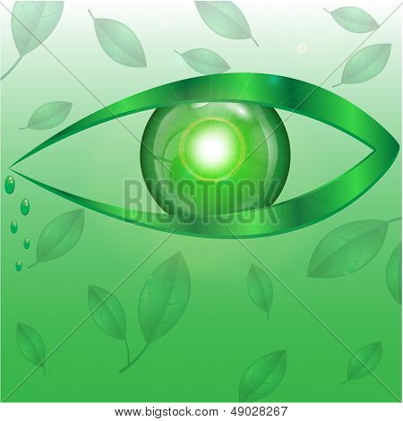 eye of green color on a green background with leaves
