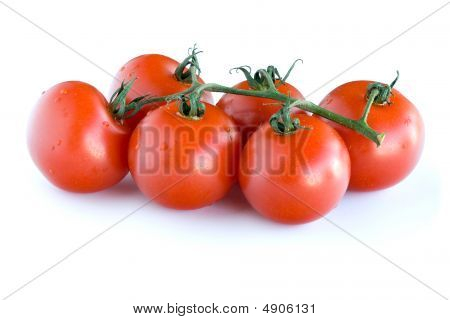 토마토