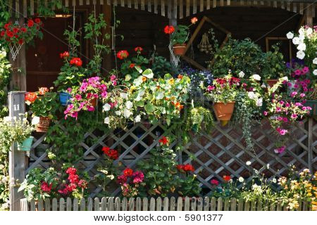 fiori