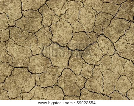 dry soil texture with deep fissures