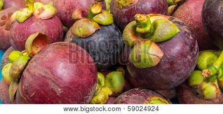 Mangosteen