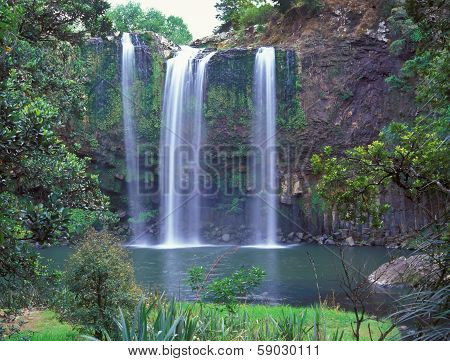 Whangarei Falls
