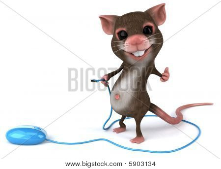 Mouse