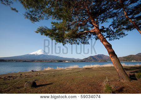 Mt Fuji View From The Lake