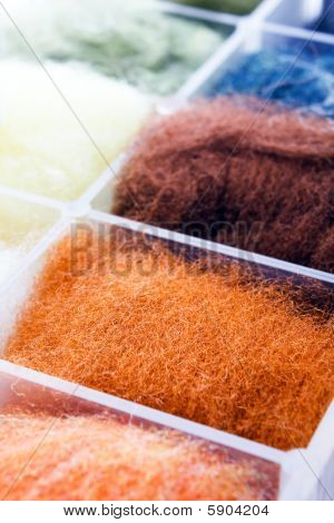 前刺毛塔夫茨