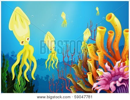 Illustration of the yellow squids near the coral reefs on a white background