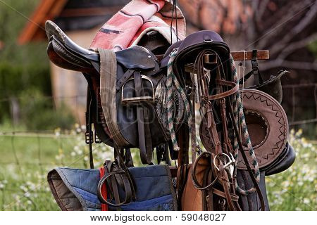 Saddlery