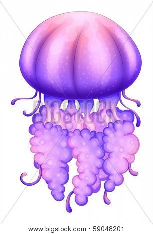 Illustration of a lavender jellyfish on a white background