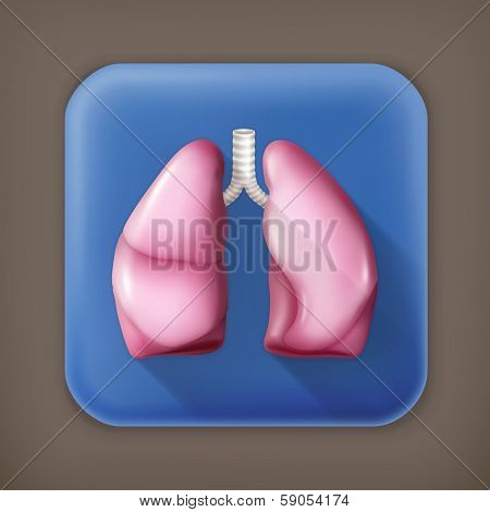 Human lungs, long shadow vector icon
