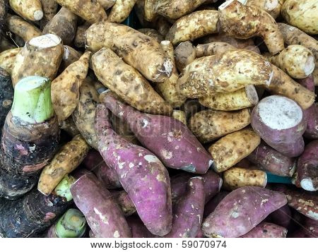Taro And Cassava Roots