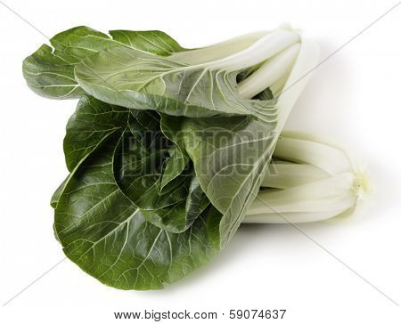 Two heads of fresh bok choi Asian cabbage over a white background.