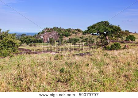 Grassy savanna, bush. Landscape of Africa. Tsavo West, Kenya.