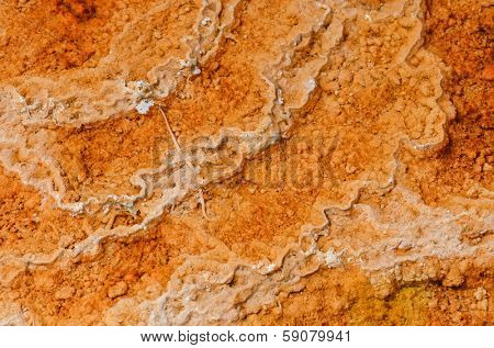 Microbial mat pools close up in  Yellowstone National Park,Wyoming 