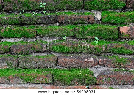 Brick Wall Texture Background With Grass And Mos