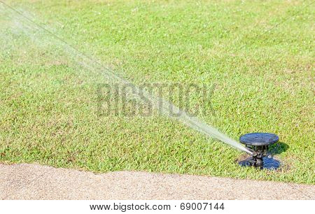 Water Sprinkler System Watering On Fresh Green Grass.