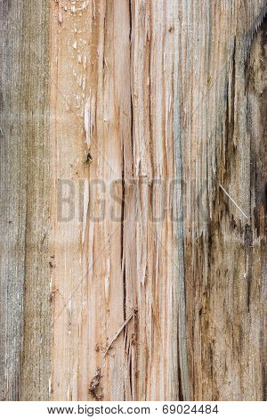 Cracked And Knotty Wood Texture