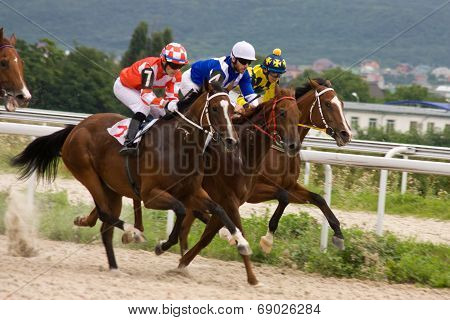 Horse Race Start.