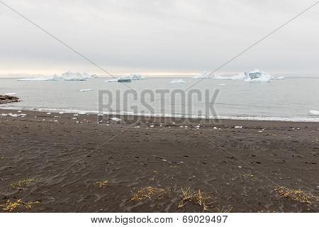 Black Beach And Icebergs