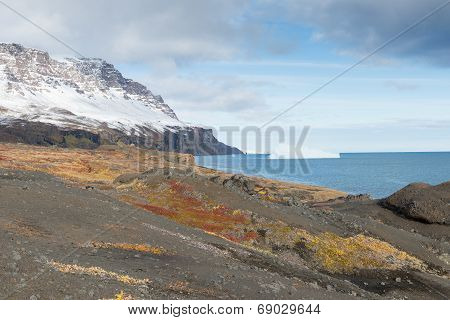 Arctic Landscape