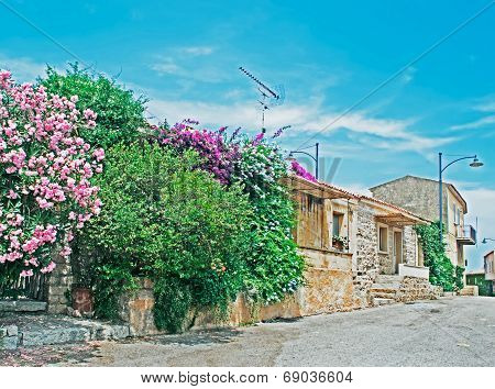 Narrow Street