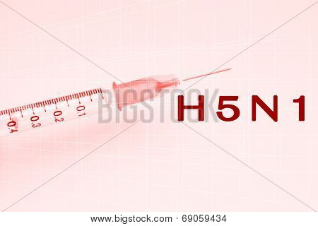H5N1 Virus