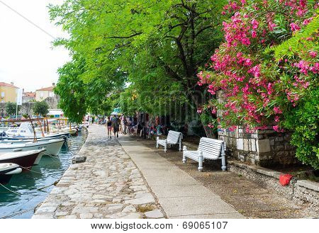 The Cozy Promenade