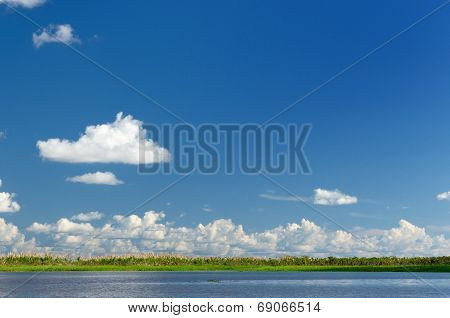 Amazon River Landscape In Colombia