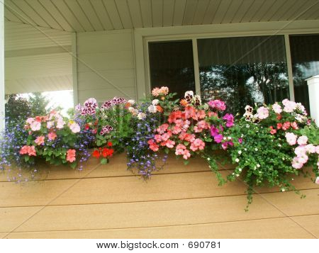 Blomma lådor 