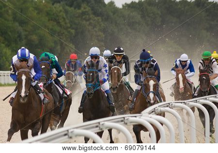 Horse Race Finish