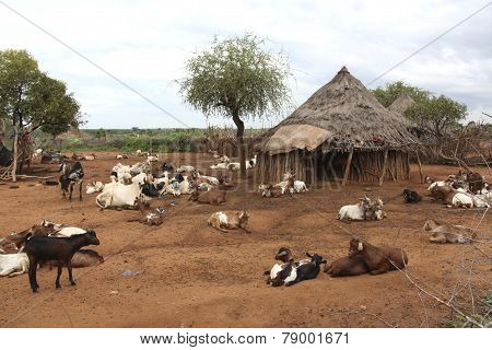 Houses Hamer