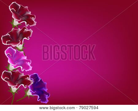 illustration with gloxinia flowers on red background