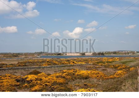 Pasticcio ufficiale RAF Valley